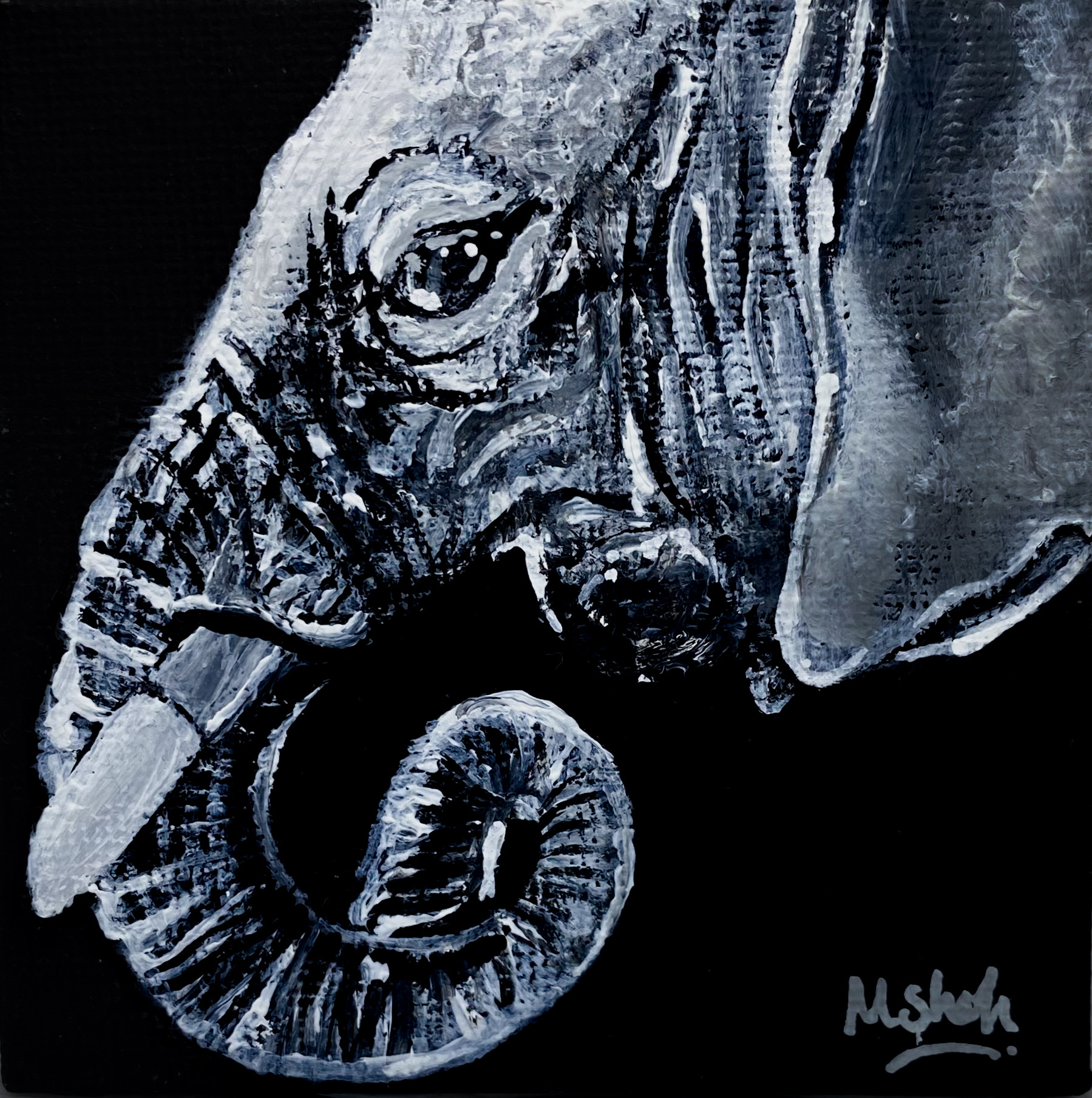 Echoes of the Wild