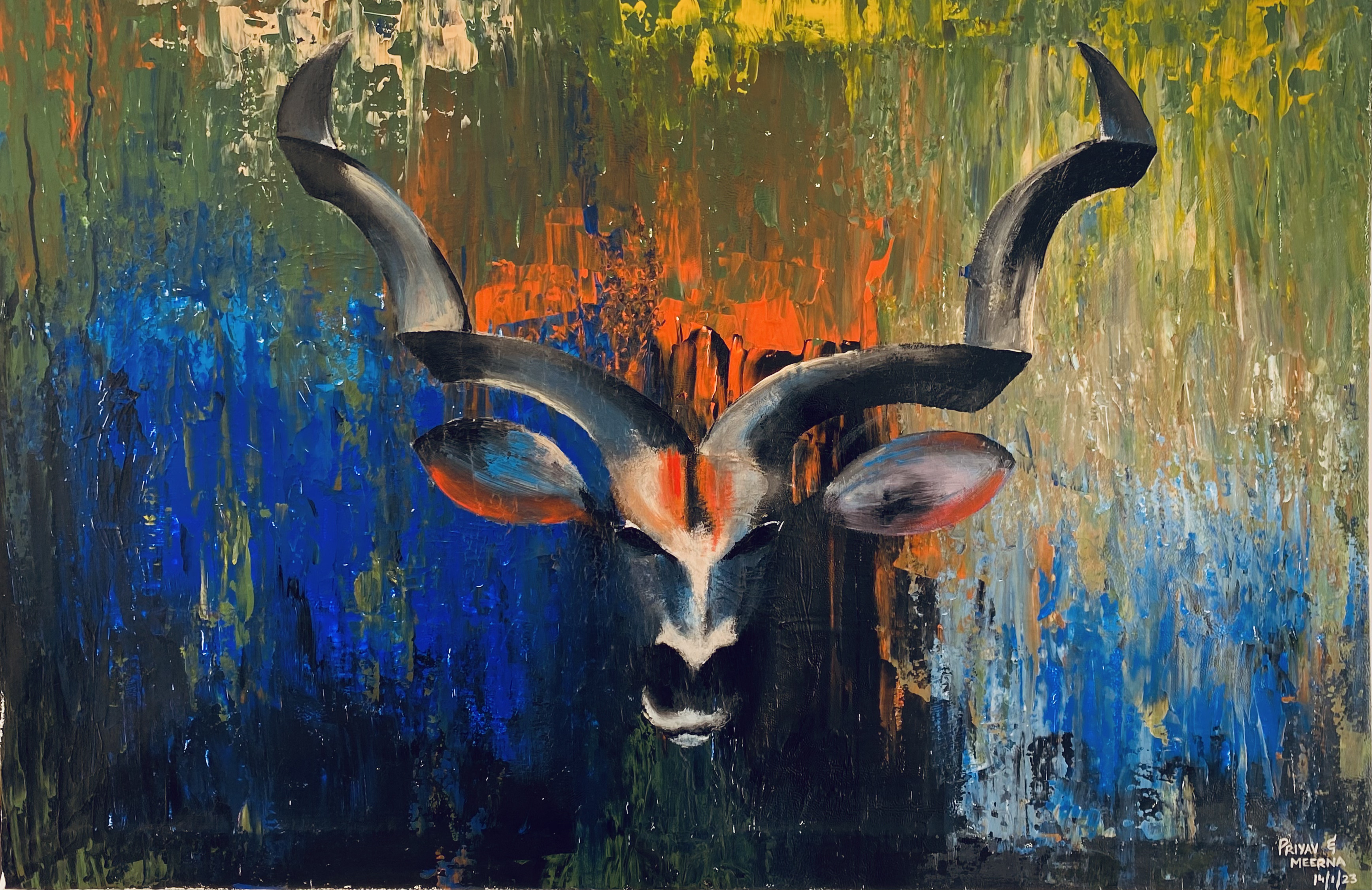 Kudu in the Wild